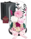 X XBEN プリザーブドフラワー プレゼント 可愛い カーネーション 永遠の花 結婚記念日 ガラスポット ケース入り ぶりざーどフラワー バラ カーネーション...