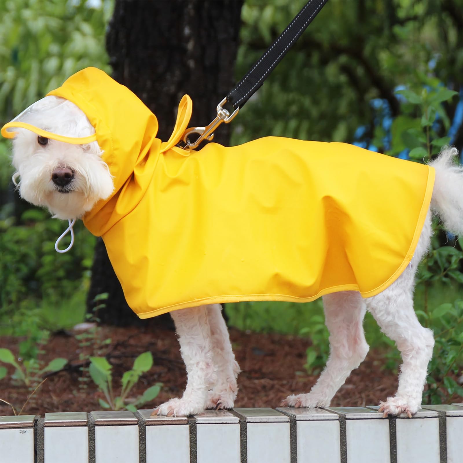 【送料無料】【Charming Club】犬 レインコート カッパ ポンチョ ペット 雨具 小 中 大型犬に対応 防水 防風 着せやすい 帽子付き リード穴あり...