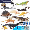 TOYMANY 12PCS動物フィギュア 野生動物フィギュアセット リアルな動物模型 動物園主題 人気動物 おもちゃ 玩具 誕生日プレゼント 飾り物 クリスマス...