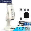 【送料無料】ZealSound USBマイク (白)