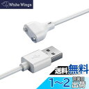YFFSFDC 磁気充電ケーブル マグネット USB充電ケーブル 急速充電 安定 磁気吸着 チャージャーケーブル 洗顔ブラシ バイブアタッチメント ハンディマッサージャー 対応 (2ピン間の距離6mm)