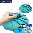 GOKEI アイスバッグ 氷のう 氷嚢 【S+Mセット】 アイシングバッグ 大口径 冷温両用 水漏れ防止 アイス バッグ スポーツ 手首用 肘用 膝用 関節 夏の暑さ対策グッズ ティファニー・ブルー