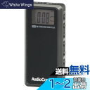 オーム(OHM) 電機AudioComm ラジオ 小型 ライターサイズラジオ ポケットラジオ デジタル DSPラジオ ライターラジオ ATS自動選局 メモリー登録 携帯ラジオ 通勤ラジオ イヤホン付き FMステレオ ワイドFM対応 ブラック RAD-P255N 03-7234