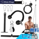 aleawol プーリーケーブルマシン 上腕三頭筋トレーナー LAT ...(4)