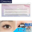 nalaina 部分つけまつげ 下つけまつげ ナチュラル 下まつげ 極薄 v型下つけまつげ 5-6-7mm 初心者 薄化粧 生活化粧 日常用 部分つけま ブラック