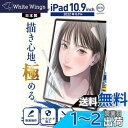 匠彩 (プロ漫画家推薦) iPad 第10世代 2022 10.9 インチ 用 ペーパーライクフィルム フィルム 上質紙タイプ(2)
