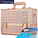 Hapilife メイクボックス 大容量 プロ仕様 コスメボックス 化粧箱 化粧ボックス 化粧品 収納ボックス 金 (ゴールド)
