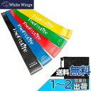 TheFitLife トレーニングチューブ 筋トレチューブ フィットネスチューブ (黄/緑/赤/青/黒)