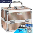 Hapilife メイクボックス 鏡付き 化粧品収納ボックス メイク ボックス 大容量 コスメボックス 化粧箱 化粧品 収納ケース 化粧ボックス 化粧品ボックス 自宅用 旅行用 (ゴルード)