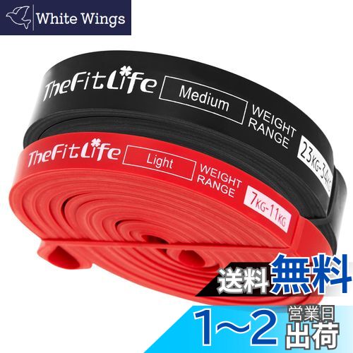 【送料無料】TheFitLife トレーニングチューブ 筋トレチューブ 懸垂チューブ (赤/黒)