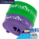 TheFitLife トレーニングチューブ 筋トレチューブ 懸垂チューブ (紫/緑)(4)