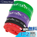 TheFitLife トレーニングチューブ 筋トレチューブ 懸垂チューブ (赤/黒/紫/緑)(4)