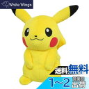 三英貿易(Sanei Boeki) ポケットモンスター ALL STAR COLLECTION ピカチュウ (S) W14×D10.5×H19cm ぬいぐるみ ポケモン PP01