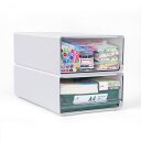 【送料無料】RAIN QUEEN レターケース a4 書類ケース 引き出し 書類トレー 収納ケース 引き出し 小物 卓上小物ケース レターケース 引き出しデスク...