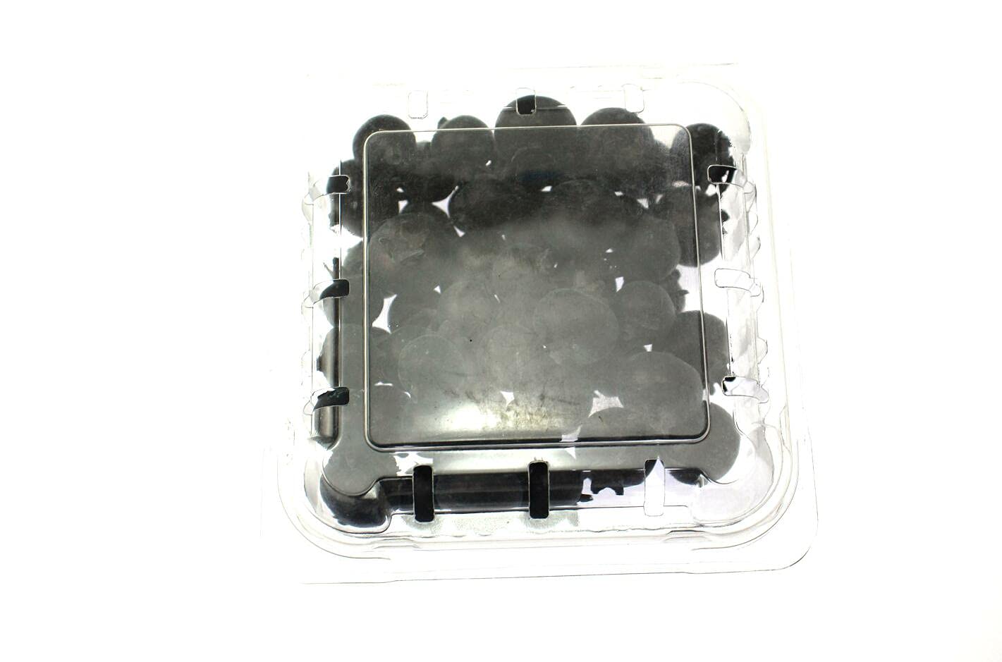 【送料無料】Speed mao 本物 そっくり ブルーベリー 大 小 サンプル 食品 模型 パック入り