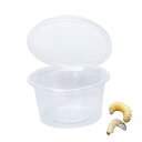 【送料無料】Archnote プリンカップ 昆虫 カブトムシ クワガタ 幼虫 ケース 穴あき 卵 繁殖容器 色:透明