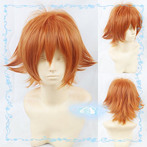 【送料無料】耐熱コスプレウィッグ ズートピア Zootopia ニック・ワイルド Nick 仮装用 かつら wig+お..