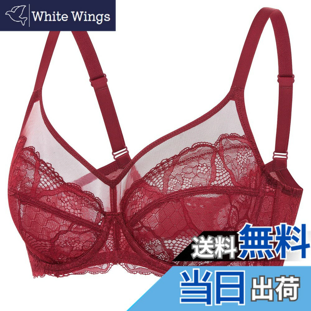 ������̵����[DOBREVA] �֥饸�㡼 �礭�������� ��ǥ����� �졼�� �������롼 �������� �磻�䡼���� �ѥåɤʤ� ������������ �������㥤�ˡ������...