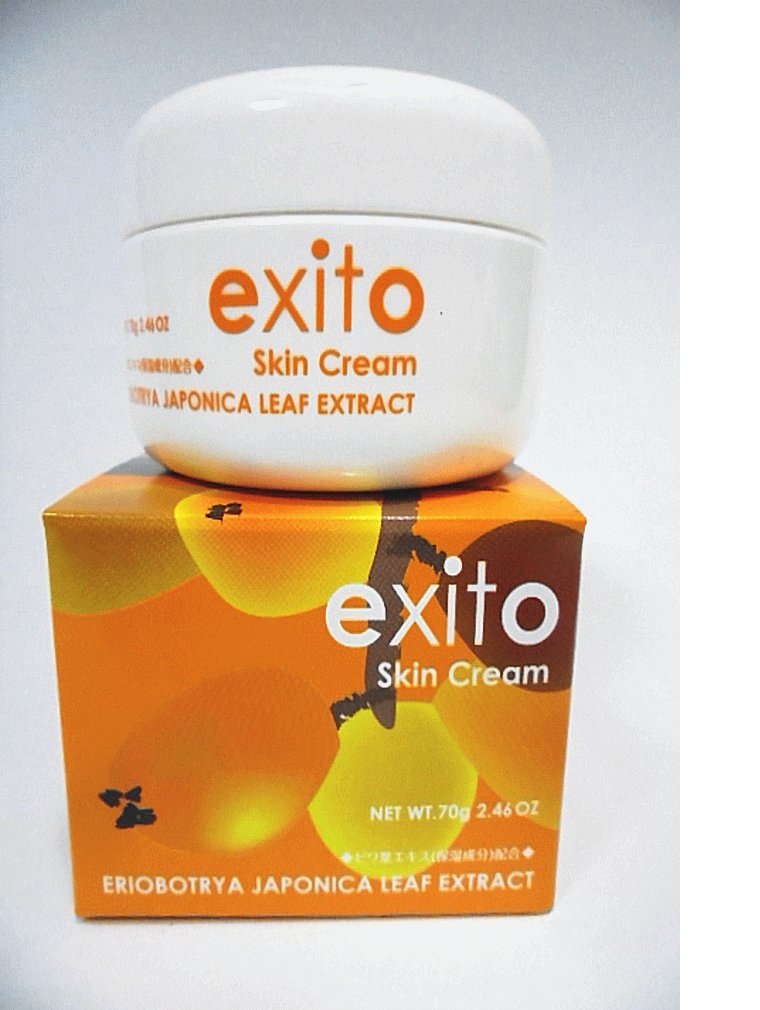 【送料無料】エクシート スキンクリーム 70g（ビワの葉エキス配合保湿クリーム） サイズ：70グラム (x 1)