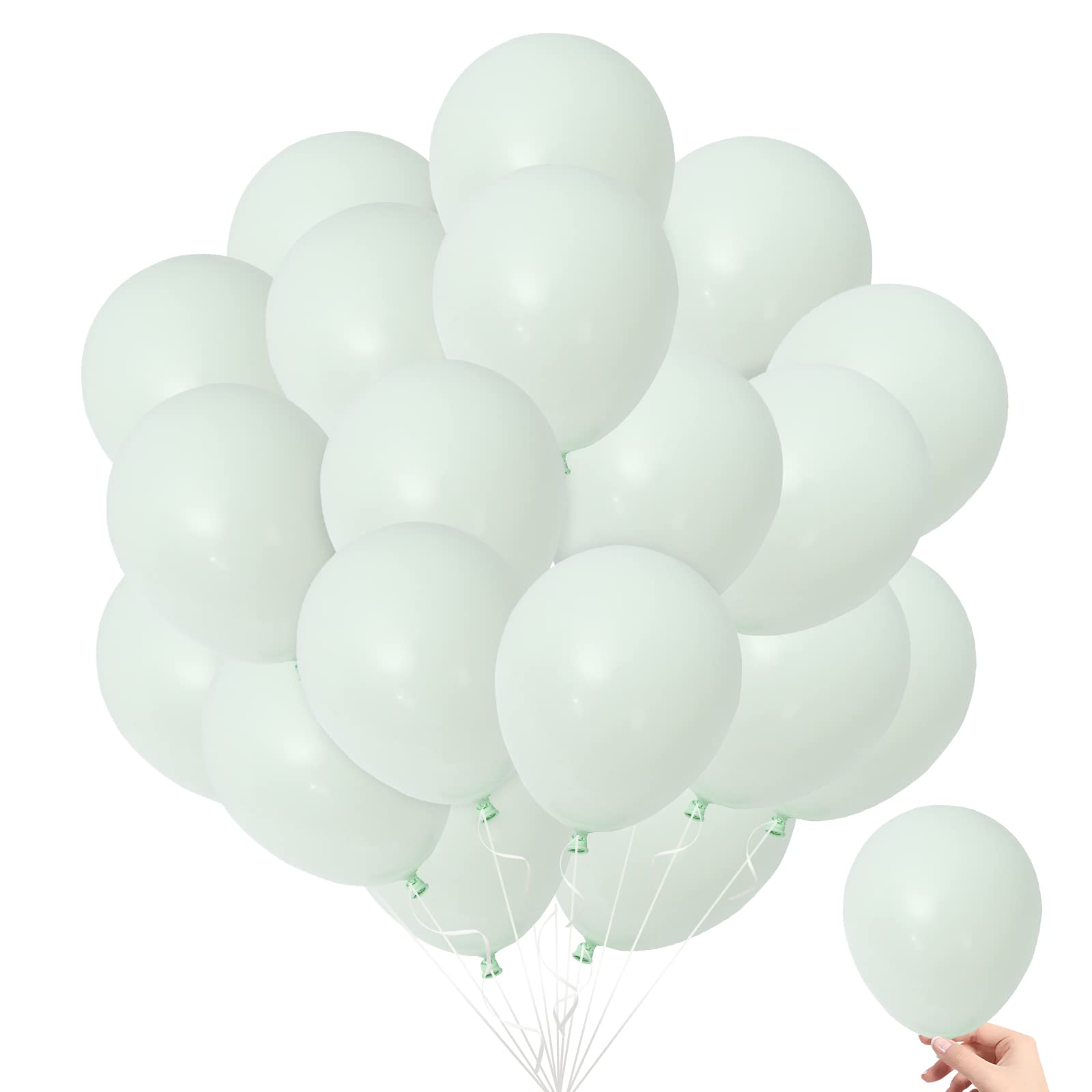 【送料無料】BTZO 風船 バルーン 50個入 5インチ ラウンド マカロンカラー 小さめ ミニ スモール バルーンアート 飾り付け 誕生日 結婚式 パーティー お祭り お祝い 文化祭 イベント グリーン