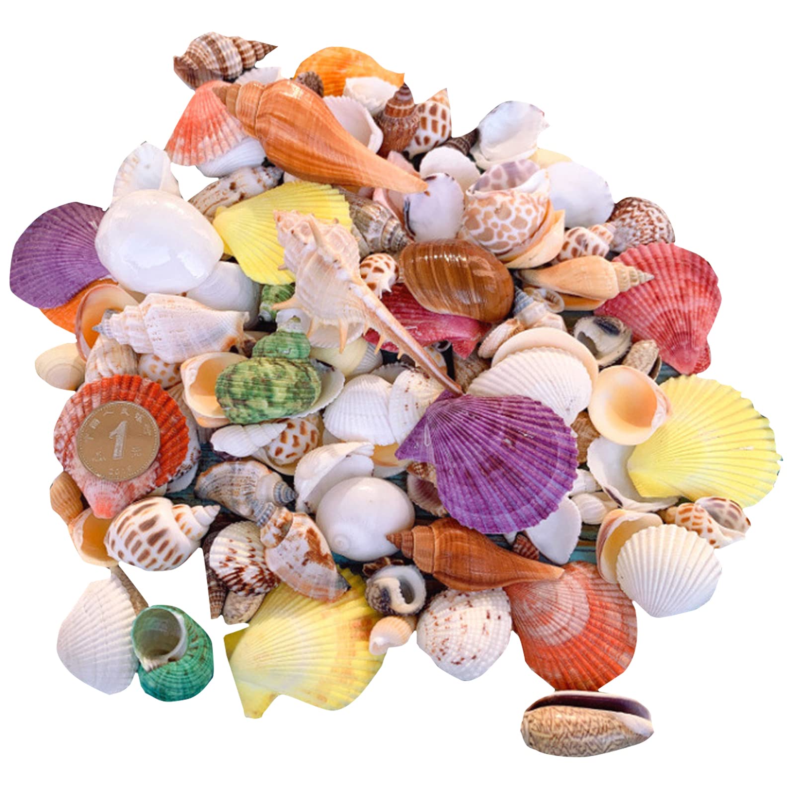 【送料無料】siawadeky カラフル 貝殻 500g アソート セット 天然素材 ミックス ビー ...