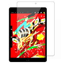 【送料無料】RISE フィルム iPad 9世代 用 ガラスフィルム ブルーライトカット 93% iPad 第9世代 2021 iPad 10.2 / 第8世代...