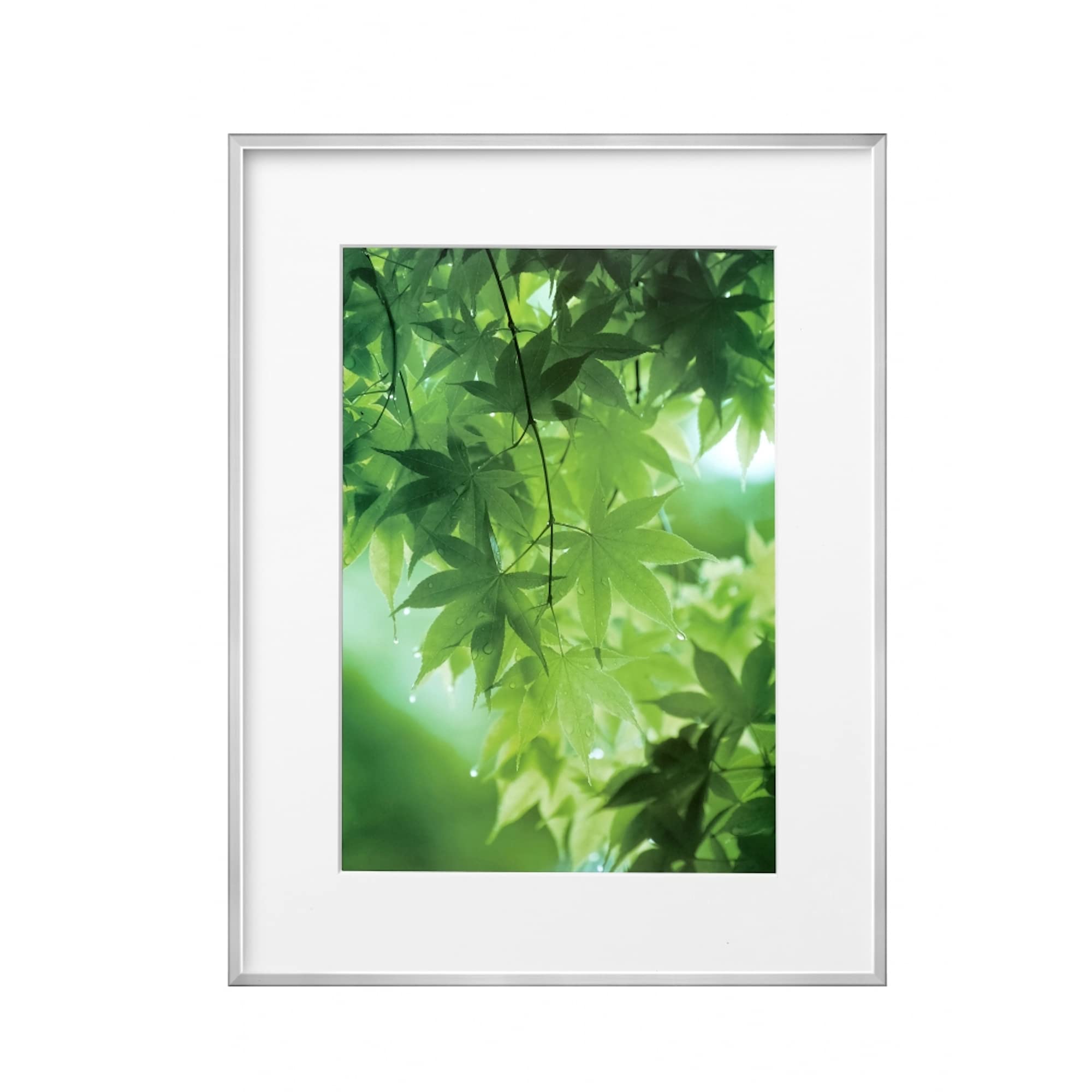 【送料無料】ハクバ HAKUBA 軽量 額縁 ZEROフレーム G-01 A3 シルバー FZG01-A3SV