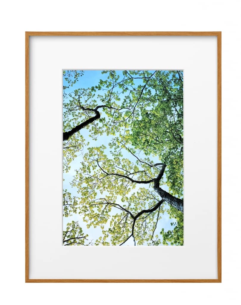 【送料無料】ハクバ HAKUBA 軽量 額縁 ZEROフレーム G-01 A4 ナチュラル FZG01-A4NT