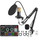 【送料無料】BONKYO カラオケセット家庭用 DJ ミキサー セット F999 ライブ サウンドカード 男声 女声 ボイスチェンジャー/マイク スタンド/オーディオミキサー 配信機材 実況者や家庭用カラオケに適用 日本語説明書付き