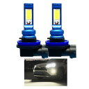 White Wingsで買える「【送料無料】dwayde H11 LED フォグランプ アップグレード交換用バルブ 無極性 安定電源内蔵 H8 H9 H16 車検対応 プラグアンドプレイ 2電球 (H11_H8_H16, ホワイト」の画像です。価格は1,466円になります。