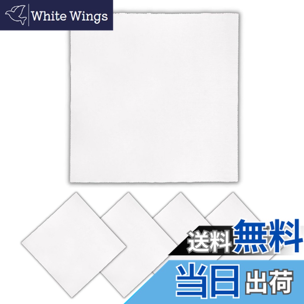 ������̵����[GJTr] �ڴ��ѥ��꡼�˥󥰥����� �ݥ�å��奯���� ��Ƚ 40x40cm 5�祻�å� (���졼)