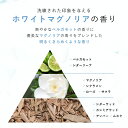 【期間限定】最大半額クーポン有!10/4 20:00~10/11 09:59まで!香水 ボディミスト コロン フレグランスミスト ボディスプレー ヘアミストフィス ホワイト 日本製 100mlWHITH WHITE