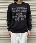 BUENA VISTA (ブエナビスタ) BVcrewnecksweat014 スウェット