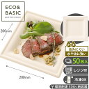 【レビューで2,780円相当特典付き!】【50枚】紙皿 プレート 20cm スクエア 使い捨て バガスモールド おしゃれ エコ 皿 イベント 祭り BBQ パー...
