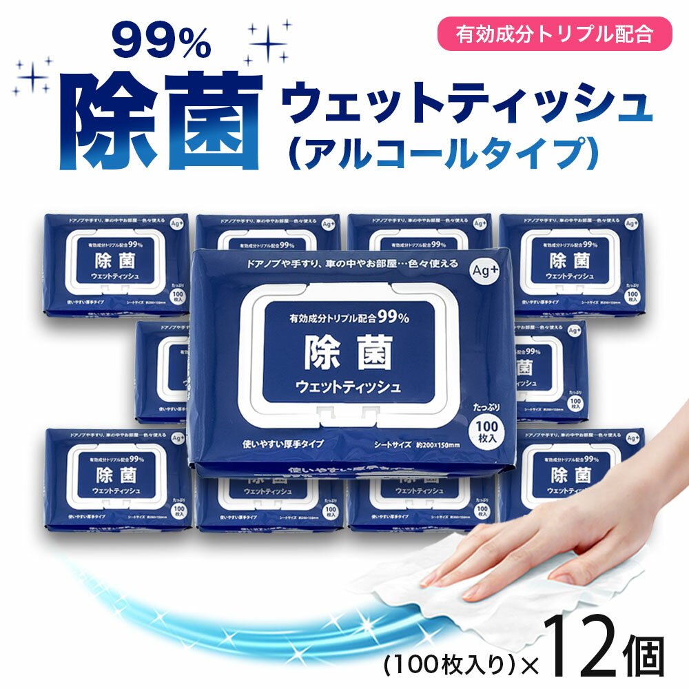 除菌 ウェットティッシュ 大判 100枚入×12個 銀イオン配合(Ag+) 99%除菌 ウィルス対策 除菌シート 除菌ティッシュ アルコールシート 業務用