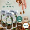 《化学肥料不使用》南アフリカ産 生ピーカンナッツ 200g x 3個【 生 ピーカンナッツ ペカンナッツ ピカンナッツ ピーカン ペカン ピカン ナッツ 生 無...