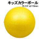 【個人宅配送不可】アーテック キッズカラーボール 約17φ(001408)(4)