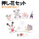 【個人宅配送不可】アーテック 押し花セット(002218)