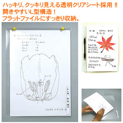 【個人宅配送不可】アーテック 透明掲示ホルダー8切(002605) 2