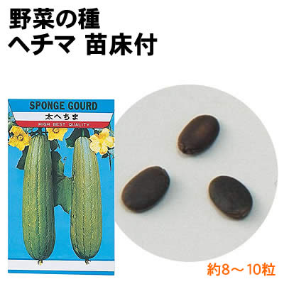 【個人宅配送不可】アーテック 野菜の種 ヘチマ 苗床付(002736)