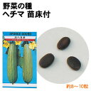 【個人宅配送不可】アーテック 野菜の種 ヘチマ 苗床付(002736)