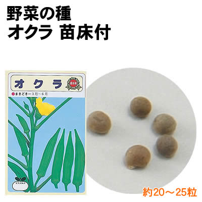 【個人宅配送不可】アーテック 野菜の種 オクラ 苗床付(002739)