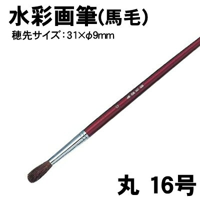 乐天商城 - 【個人宅配送不可】アーテック 水彩画筆（馬毛）丸 16号(010616)
