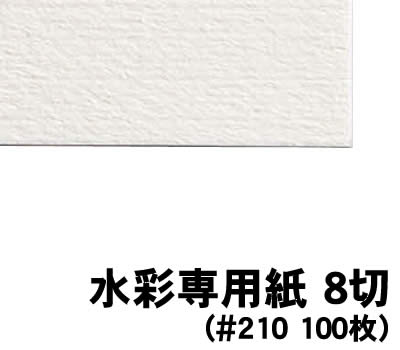 【個人宅配送不可】アーテック 水彩専用紙 8切(#210 100枚)(011250)