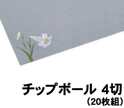 【個人宅配送不可】アーテック チップボール 4切(20枚組)(011265)