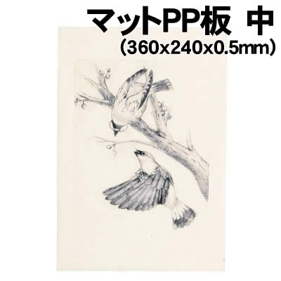 乐天商城 - 【個人宅配送不可】アーテック マットPP板 中(360x240x0.5mm)(020501)