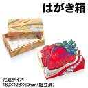 【個人宅配送不可】アーテック はがき箱(030003)