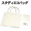 【個人宅配送不可】アーテック スタディエコバック(050693)