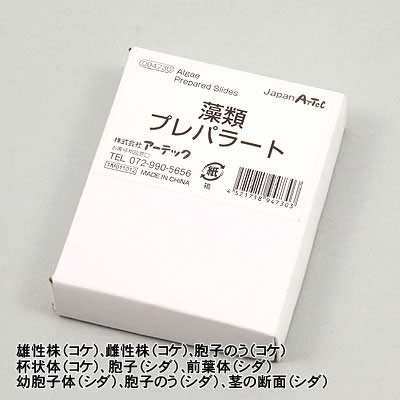 【個人宅配送不可】アーテック コケ・シダの生活プレパラート(094732)