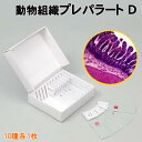 【個人宅配送不可】アーテック 動物組織プレパラートD(094736)(4)